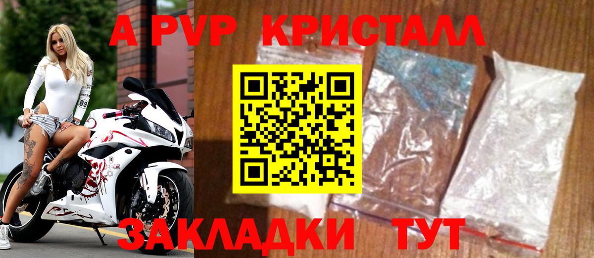 Alfa_PVP СК Серпухов