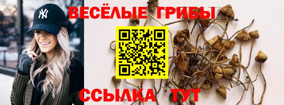 Серпухов  Галлюциногенные грибы Magic Shrooms  Галлюциногенные грибы GOLDEN TEACHER  Вход с VPN 